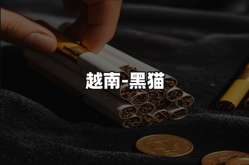 越南黑猫